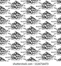 Lambis, spider conch, is a species of large sea snail, a marine gastropod mollusk the family Strombidae.  Sketch black contour isolated on white background. Can be used for fabrics, wallpapers. Vector