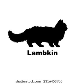 Lambkin cat silhouette. Cat breeds vector. Pet. Animal