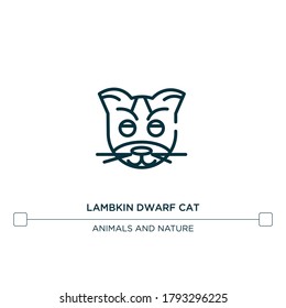 lambkin dwarf cat vector line icon. Simple element illustration. lambkin dwarf cat outline icon from cat breeds concept. Can be used for web and mobile
