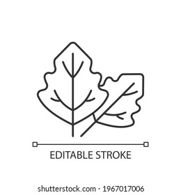 Lambs quarters linear icon. Goosefoot leaves. Wildflower allergen. Allergy for plant. Thin line customizable illustration. Contour symbol. Vector isolated outline drawing. Editable stroke