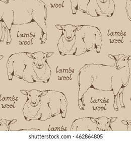 Lambswool beige pattern, seamless background with sheep and handwritten lettering, farm animal illustration, fabric wool texture, cloven-hoofed livestock hand drawn sketch