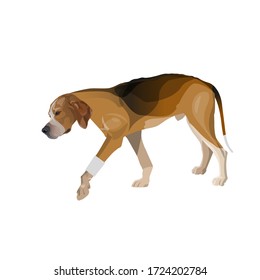 Lame dog walks with a bandaged paw. Vector illustration isolated on white background svg