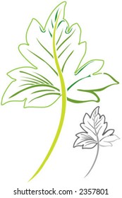 laminated, folio, natural, leaf, sheet