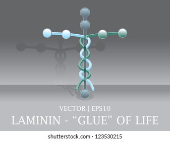 Laminin cell the glue of human life Christian Bible cross vector | EPS10
