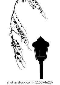 Lamp post with tree branch.Realistic street lights isolated vector illustration. 