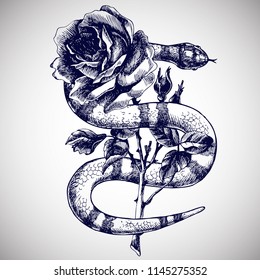 Lampropeltis triangulum and rose. Hand drawn vector illustration with coral snake, milk snake or royal striped snake and flower.