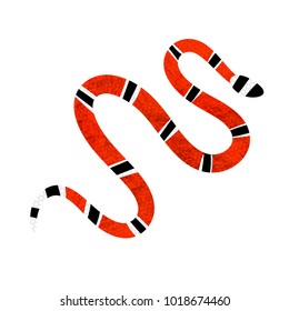 Lampropeltis triangulum vector. Red snake Reptile on white background.