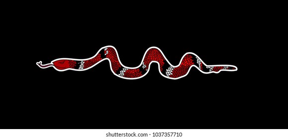 Lampropeltis triangulum vector.Sticker and hand drawn snake for tattoo.Red snake Reptile on black background.