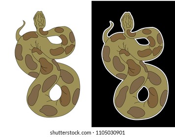 Lampropeltis triangulum vector.Sticker and hand drawn snake for tattoo.Red snake Reptile on white background.