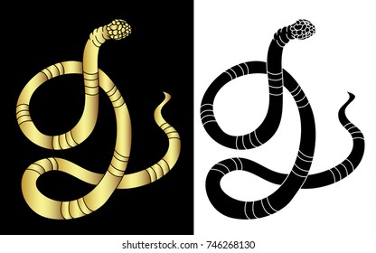 Lampropeltis triangulum vector.Sticker and hand drawn snake for tattoo.Golden and black Snake Reptile.Traditional Japanese culture for printing and coloring book on background.