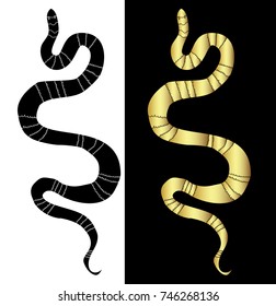 Lampropeltis triangulum vector.Sticker and hand drawn snake for tattoo.Golden and black Snake Reptile.Traditional Japanese culture for printing and coloring book on background.