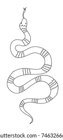 Lampropeltis triangulum vector.Sticker and hand drawn snake for tattoo.snake Reptile illustration.Traditional Japanese culture for printing and coloring book on background.