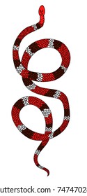 Lampropeltis triangulum vector.Sticker and hand drawn snake for tattoo.Red snake Reptile on white background.