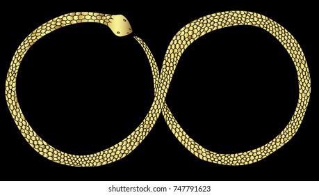 Lampropeltis triangulum vector.Sticker and hand drawn snake for tattoo.infinity Golden snake Reptile on black background.