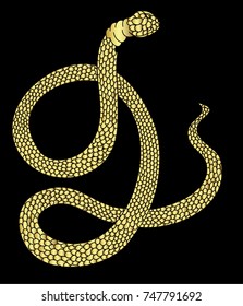 Lampropeltis triangulum vector.Sticker and hand drawn snake for tattoo.Golden snake Reptile on white background.