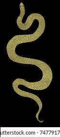 Lampropeltis triangulum vector.Sticker and hand drawn snake for tattoo.Golden snake Reptile on white background.