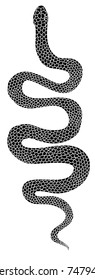 Lampropeltis triangulum vector.Sticker and hand drawn snake for tattoo.snake Reptile illustration.