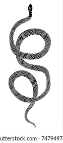 Lampropeltis triangulum vector.Sticker and hand drawn snake for tattoo.snake Reptile illustration.