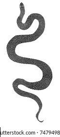 Lampropeltis triangulum vector.Sticker and hand drawn snake for tattoo.snake Reptile illustration.