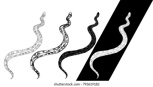 Lampropeltis triangulum vector.Sticker and hand drawn snake for tattoo.snake Reptile illustration.