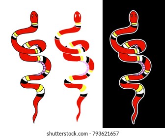 Lampropeltis triangulum vector.Sticker and hand drawn snake for tattoo.Red snake Reptile on black background.