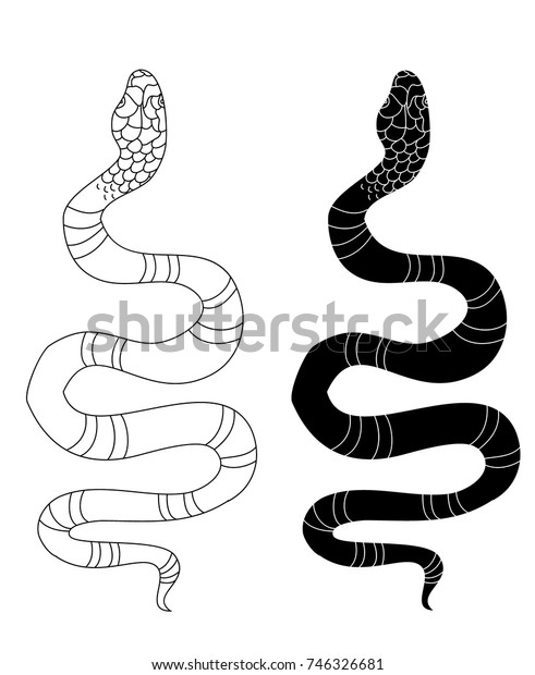 Lampropeltis Triangulum Vectorsticker Hand Drawn Snake Stock Vector ...