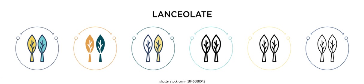 Lanceolate icon in filled, thin line, outline and stroke style. Vector illustration of two colored and black lanceolate vector icons designs can be used for mobile, ui, web