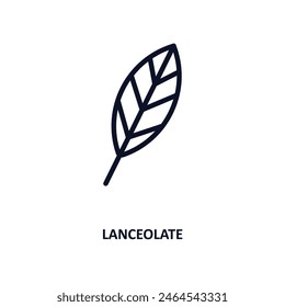 lanceolate icon. Thin line lanceolate icon from nature collection. Outline vector isolated on white background. Editable lanceolate symbol can be used web and mobile