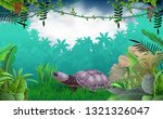 Land turtle in the jungle