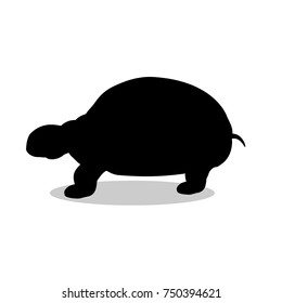 Land turtle reptile black silhouette animal. Vector Illustrator.	