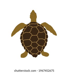 Land turtle. Reptile. Vector illustration.
