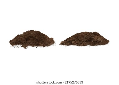 Land vector. Background. Earth garden plant land