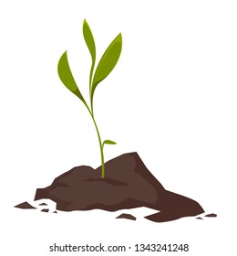 The land from which the plant grows. The concept of gardening and growth. Vector illustration in cartoon style.