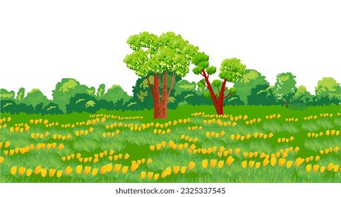 Landcape with a field of blooming yellow tulips stretching to the edge of the forest. Vector illustration.