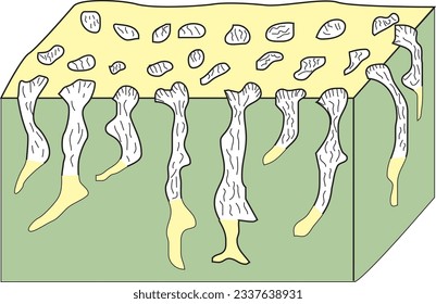 Landforms, Earth's crust, Volcano, Mountain, Volcano, Coğrafya, Yer Şekilleri, Şekil, Görsel, Volkan, Dağ, Göl, Akarsu, Tabaka, Katman, Yer, Vadi, Nehir, Plato, Ova, Yanardağ, Kıyı, Tepe, Deniz