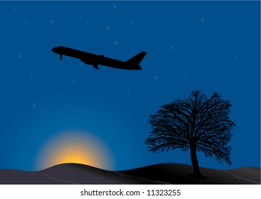 landing in the dawn
