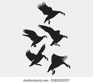 landing geese silhouette. free vector illustration 