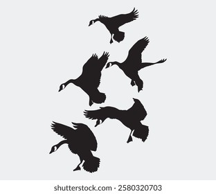 landing geese silhouette set. free vector illustration