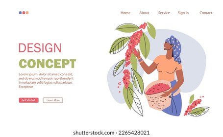 Landing page for a coffee growing and production website. Dark-skinned woman plucks ripe coffee cherries from a branch into a basket. Coffee Farming web page template. Flat style, vector illustration.