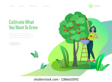 landing page with Harvesting and gardening people woman doing farming and garden job, planting, lay ripe apple from tree to box. Reaping crop concept