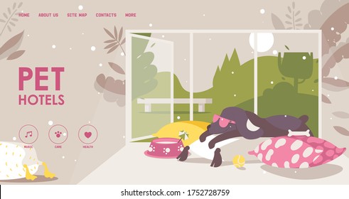 Landing page for pet hotel. Happy dog in sunglasses lies on a pillow. Interior scene about love and care to animals