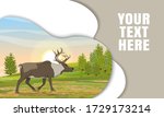 Landing page template with multi-level shadows. Wild reindeer in the tundra. Spruce coniferous forest. Landscape north in summer