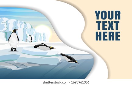 Landing page template with multi-level shadows and the image of penguins standing on the snow and diving into the water from the ice. Realistic vector