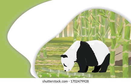 Landing page template with multi-level shadows and the image of panda bear in a bamboo grove. Realistic vector