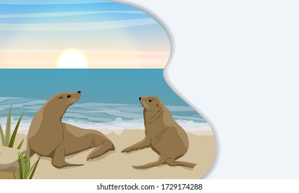 Plantilla de página de inicio con sombras de varios niveles. Dos focas de piel en la costa arenosa del mar o el océano con fragmentos de rocas y malezas de césped. El paisaje vectorial. 