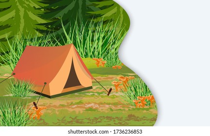 Landing page template with multi-level shadows. Tourist tent in the autumn forest. Spruce, grass and chanterelle mushrooms. Vector illustration