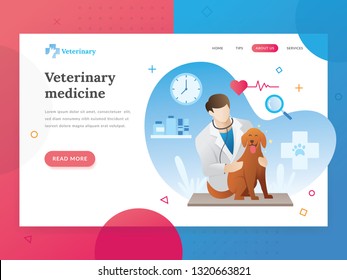 Landing page template of Veterinary. Modern flat design concept of web page design for veterinarian website. Vector illustration of A vet checks a pet. A veterinarian with a pet. Vector character