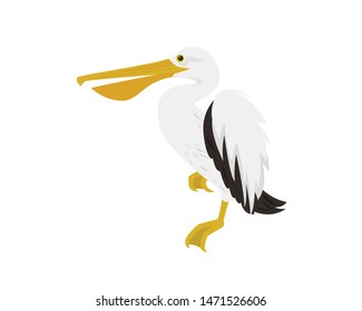 Landing Pelican and Watching Around Illustration