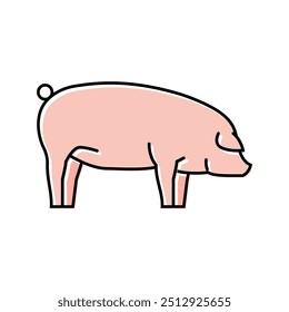landrace pig breed color icon vector. landrace pig breed sign. isolated symbol illustration