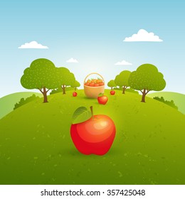 Landscape with apple garden. Harvest apples. Vector illustration